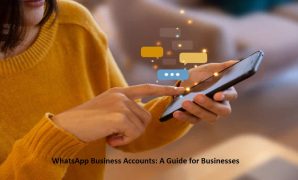 WhatsApp Business Accounts A Guide for Businesses